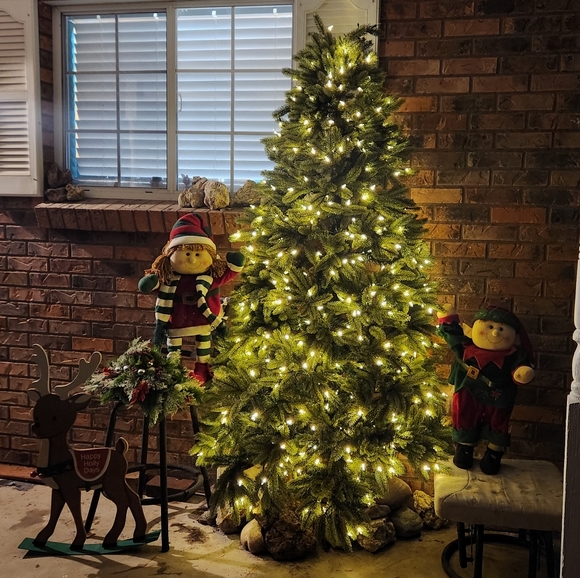 Meet your Posher, Janelle - Picture 2 of 2